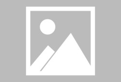 IM电竞体育平台-德米罗维奇可能今夏离开斯图加特