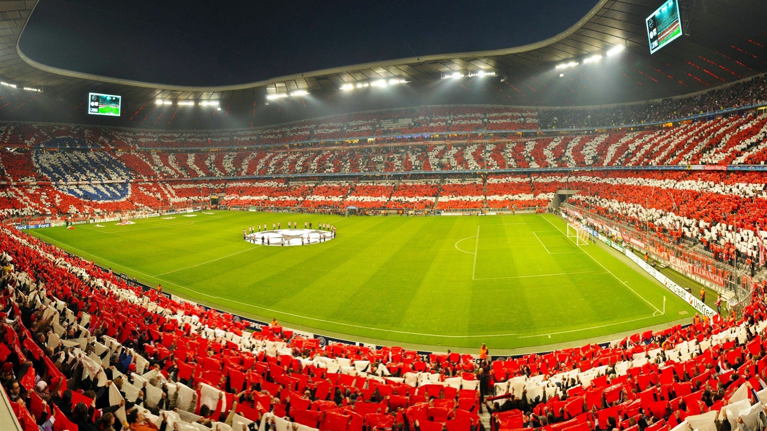 蒂姆迎来五赛季高光表现，MAD球迷沸腾！